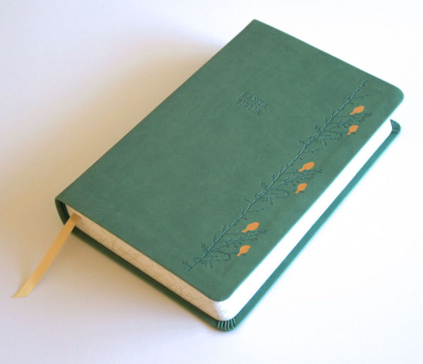 Biblia RVR 1960 Letra gigante símil piel verde con pájaros (Edición cantos pintados) / Spanish Bible RVR 1960 Giant Print Handy Size Leathersoft Green