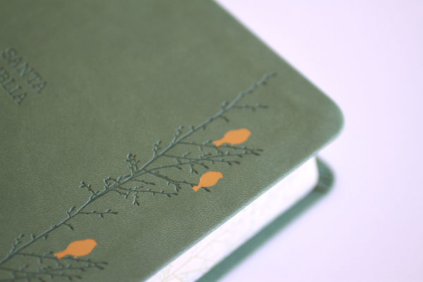 Biblia RVR 1960 Letra gigante símil piel verde con pájaros (Edición cantos pintados) / Spanish Bible RVR 1960 Giant Print Handy Size Leathersoft Green