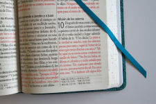 Alternative view 8 of Biblia RVR 1960 Letra gigante, símil azul con Pájaros(Edición cantos pintados) / Spanish Bible RVR 1960 Giant Print Handy Size Leathersoft Light Blue