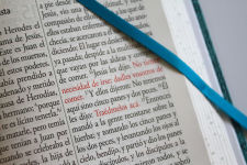 Alternative view 9 of Biblia RVR 1960 Letra gigante, símil azul con Pájaros(Edición cantos pintados) / Spanish Bible RVR 1960 Giant Print Handy Size Leathersoft Light Blue