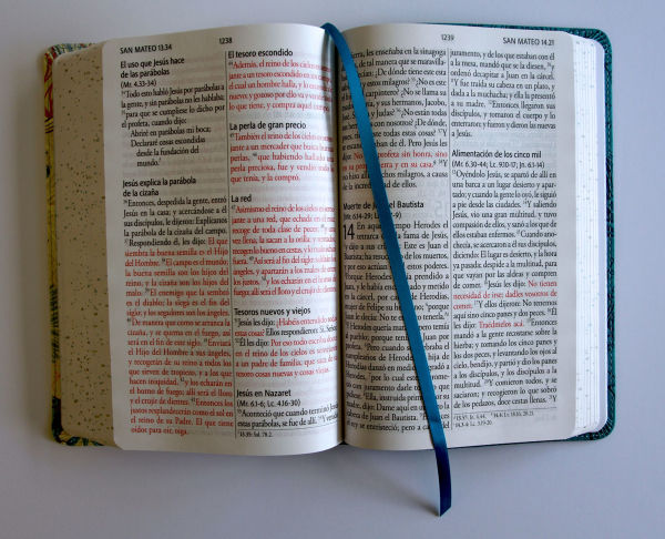 Biblia RVR 1960 Letra gigante, símil azul con Pájaros(Edición cantos pintados) / Spanish Bible RVR 1960 Giant Print Handy Size Leathersoft Light Blue
