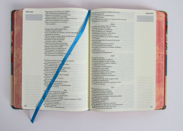 Biblia de Apuntes RVR 1960 Tapa dura