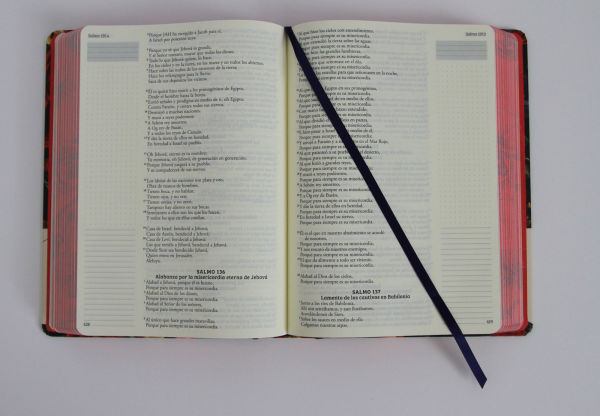 Biblia de Apuntes RVR 1960 Tapa dura, Azul oscuro con flores (Edición cantos pintados) / Spanish Journaling Bible RVR 1960 Hardcover Dark Blue with Flowers