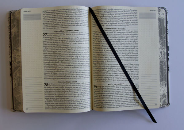 Biblia de Apuntes RVR 1960 Tapa dura, Blanco y negro con flores (Edición cantos pintados) / Spanish Journalling Bible RVR 1960 HC Black and White with Flowers