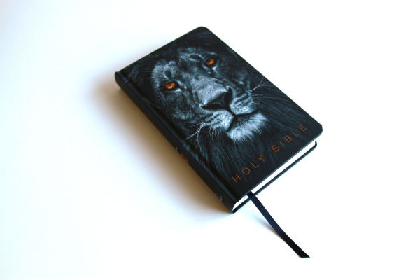 KJV Holy Bible, Large Print, Handy Size format, Hardcover, Lion of Judah, Ribbon Marker, and Red Letter
