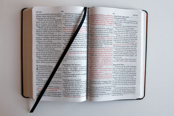 KJV Holy Bible, Large Print, Handy Size format, Hardcover, Lion of Judah, Ribbon Marker, and Red Letter