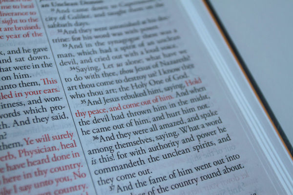 KJV Holy Bible, Large Print, Handy Size format, Hardcover, Lion of Judah, Ribbon Marker, and Red Letter