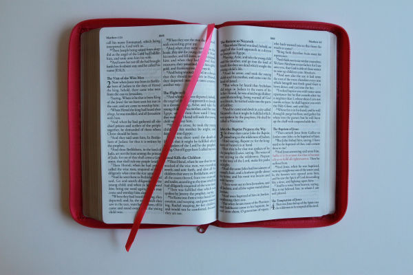KJV Holy Bible, Large Print Handy Size, Fuchsia Premium Imitation Leather w/Ribbon Marker, Red Letter, Zipper