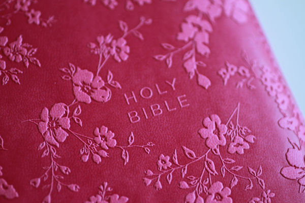 KJV Holy Bible, Large Print Handy Size, Fuchsia Premium Imitation Leather w/Ribbon Marker, Red Letter, Zipper