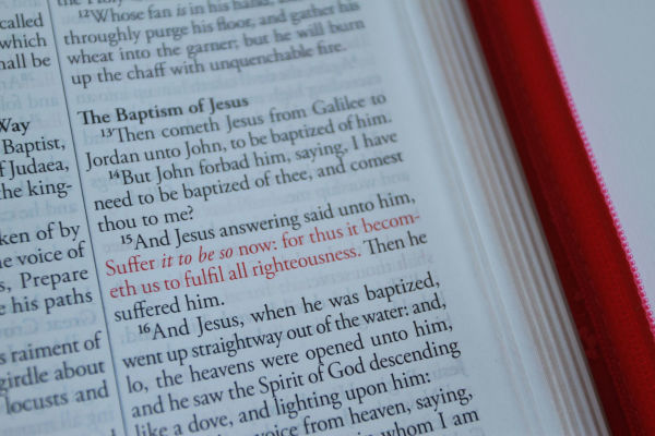 KJV Holy Bible, Large Print Handy Size, Fuchsia Premium Imitation Leather w/Ribbon Marker, Red Letter, Zipper