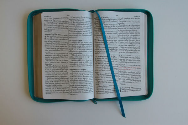 KJV Holy Bible, Large Print Handy Size, Aquamarine Premium Imitation Leather w/Ribbon Marker, Red Letter, Zipper