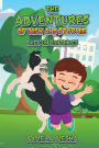 THE ADVENTURES OF JOSH AND STORMIE The Fun Continues