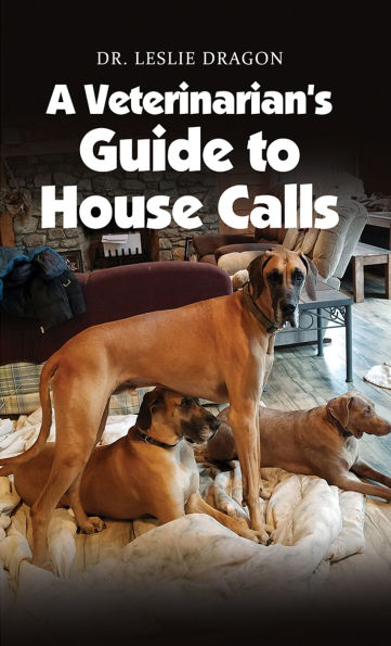 A Veterinarian's Guide to House Calls