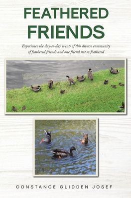 feathered Friends: Experience the day-to-day events of this diverse community friends and one friend not so