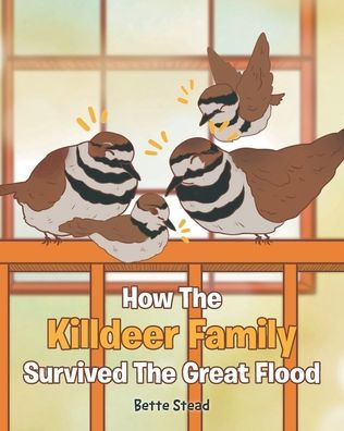 How The Killdeer Family Survived Great Flood