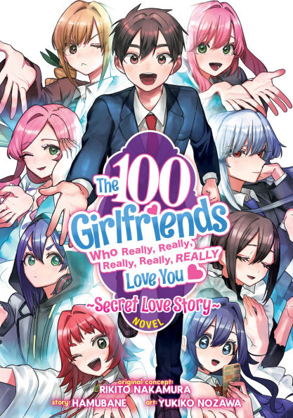The 100 Girlfriends Who Really, Really Love You: Secret Story (Light Novel)