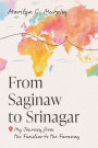 From Saginaw to Srinagar: My Journey from the Familiar to the Faraway