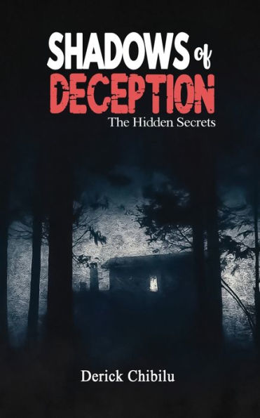 Shadows of Deception: The Hidden Secret