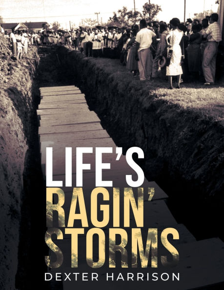 Life's Ragin' Storms