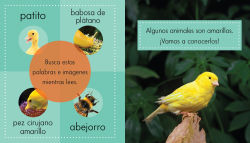 Alternative view 2 of Animales amarillos