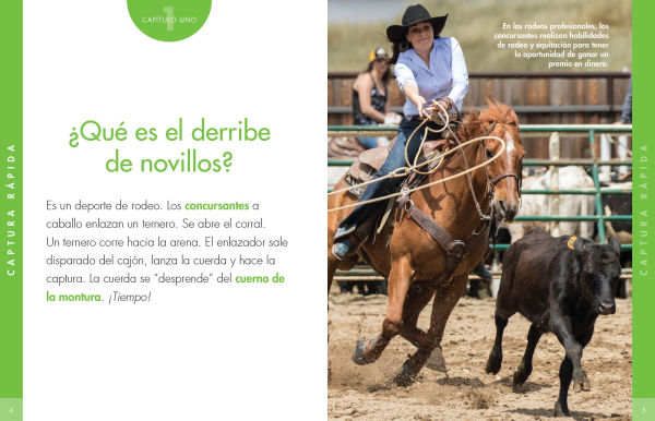 Curiosidad por el derribe de novillos