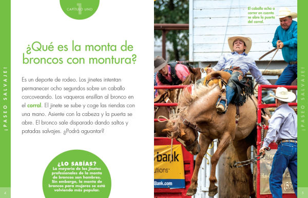 Curiosidad por la monta de broncos con montura