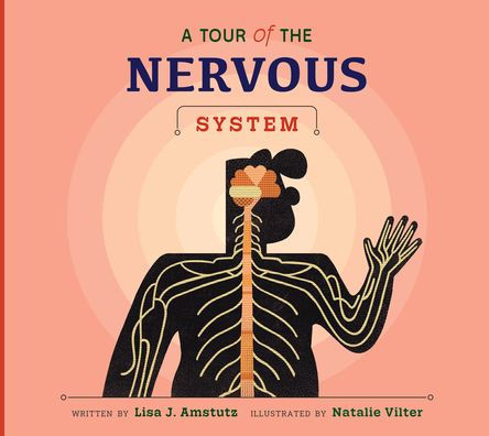 A Tour of the Nervous System