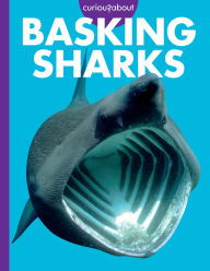 Ebook nl download free Curious about Basking Sharks (English literature)