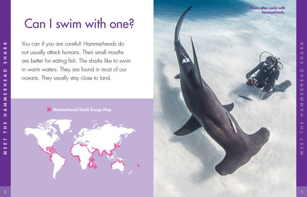 Curious about Hammerhead Sharks