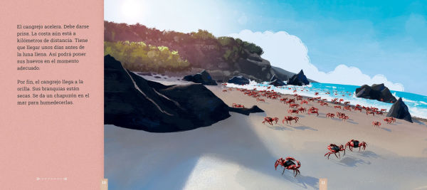 Los cangrejos de la Isla de Navidad: Una historia de migracion