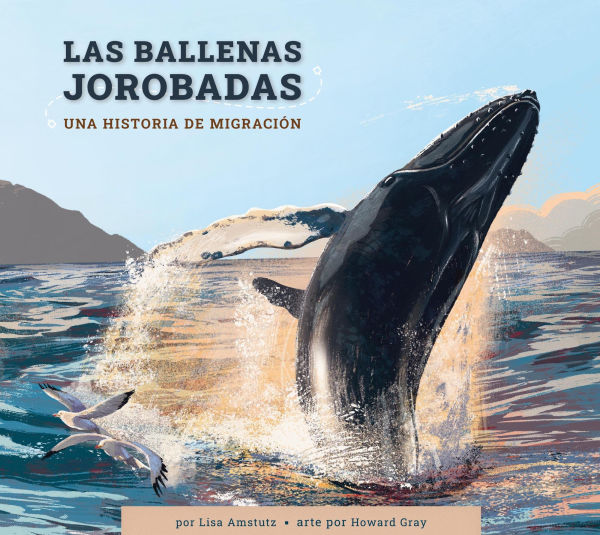 Las ballenas jorobadas: Una historia de migracion
