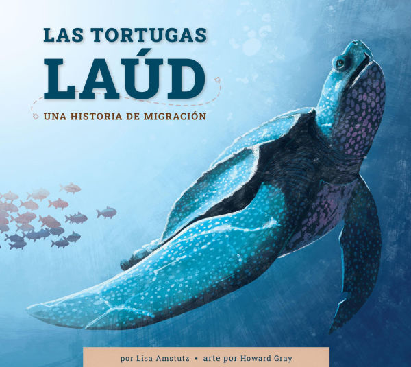 Las tortugas laud: Una historia de migracion