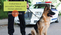 Alternative view 2 of Oficiales de policia