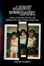 A LIGHT IN THE DARK: A Story of Survival, Recovery and Walking in the Light of God's Saving Grace