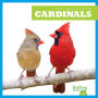 Cardinals