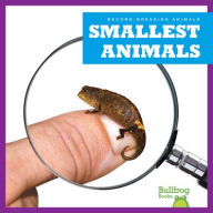 Title: Smallest Animals, Author: Lily Austen