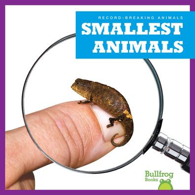 Smallest Animals