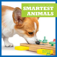 Title: Smartest Animals, Author: Lily Austen