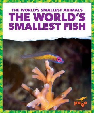 The World's Smallest Fish
