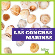 Title: Las Conchas Marinas (Seashells), Author: Jenna Lee Gleisner