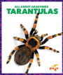 Tarantulas