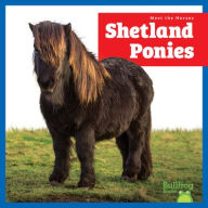 Title: Shetland Ponies, Author: Rachel Grack