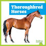 Thoroughbred Horses