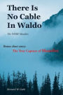 There Is No Cable In Waldo: The WKRP Murders (Bonus Short Story: The True Capture of Mussolini)
