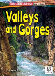 Title: Valleys and Gorges, Author: Ashley Kuehl