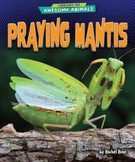 Title: Praying Mantis, Author: Rachel Rose