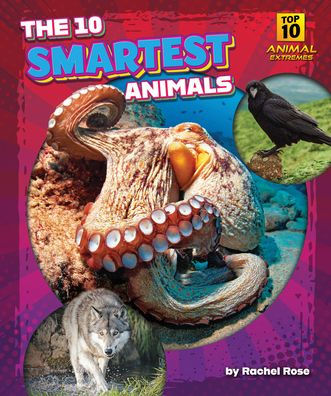 The 10 Smartest Animals