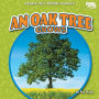 An Oak Tree Grows