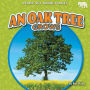An Oak Tree Grows
