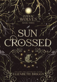 Books for download Sun Crossed English version by Elizabeth Briggs 9798892440059